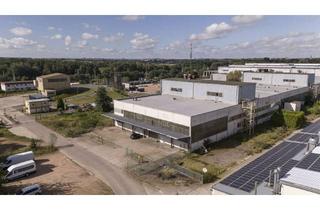 Gewerbeimmobilie mieten in Glasewitzer Chaussee 31, 18273 Güstrow, Hallenflächen in Güstrow