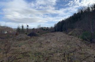 Grundstück zu kaufen in 08485 Lengenfeld, gewerbliches Grundstückspaket – 38222m² - am Bhf./Bahngleisen