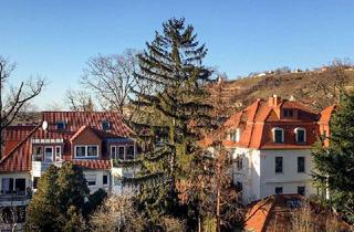 Wohnung kaufen in 01445 Radebeul, Tolle 89qm Maisonette in Radebeul Kötzschenbroda mit Balkon, Stellpl., EBK, zzgl. 36qm Dachstudio!