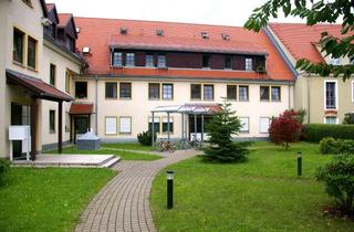 Wohnung kaufen in 01257 Niedersedlitz, Eigennutzer aufgepasst! Attraktive 3 Zimmer Wohnung mit kleinem Garten