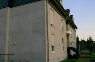 Wohnung mieten in Urbacherstrasse 20, 56305 Puderbach, schöne Wohnung in Puderbach