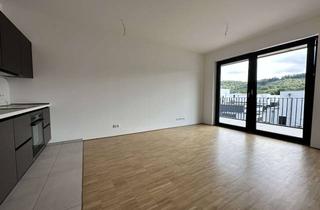 Wohnung mieten in 56112 Lahnstein, Erstbezug - Single Apartment mit EBK in Lahnstein