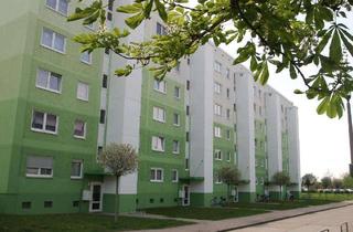 Wohnung mieten in Martin-Niemöller-Straße, 06406 Bernburg, 2-Raum-Wohnung mit Dusche und Aufzug im 5. Geschoss zu vermieten