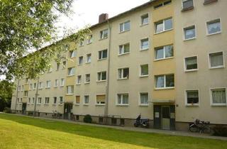 Wohnung mieten in Gerhart-Hauptmann-Straße, 63477 Maintal, 2 Zimmer mit neuem Bad