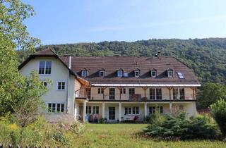 Wohnung mieten in Hofweg 11, 94107 Untergriesbach, Helle 5-Zimmerwohnung mit Terrasse, großem Garten und Donaublick
