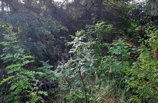 Doppelhaushälfte kaufen in 15374 Müncheberg, Die Nachbarn warten schon...wunderschöne Doppelhaushälfte in Müncheberg