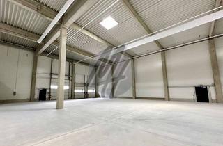 Büro zu mieten in 65479 Raunheim, KEINE PROVISION ✓ TOP-AUSSTATTUNG ✓ Lagerflächen (850 m²) & Büroflächen (300 m²) zu vermieten