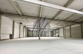 Büro zu mieten in 64546 Mörfelden-Walldorf, KEINE PROVISION ✓ TOP-AUSSTATTUNG ✓ Lagerflächen (850 m²) & Büroflächen (300 m²) zu vermieten