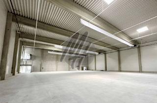 Büro zu mieten in 65451 Kelsterbach, KEINE PROVISION ✓ TOP-AUSSTATTUNG ✓ Lagerflächen (850 m²) & Büroflächen (300 m²) zu vermieten