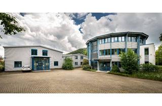 Gewerbeimmobilie mieten in Industriestraße 2+6, 97947 Grünsfeld, Ideale Produktionsfläche für Mittelständler