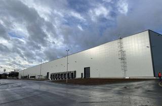 Gewerbeimmobilie mieten in Kampaweg, 14822 Linthe, Neubau-Logistikhalle mit Wärmepumpe und Top-Ausstattung an der A9