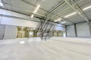 Büro zu mieten in 65479 Raunheim, KEINE PROVISION ✓ TOP-AUSSTATTUNG ✓ Lagerflächen (1.800 m²) & Büroflächen (200 m²) zu vermieten