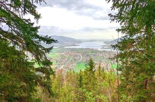 Grundstück zu kaufen in 83700 Rottach-Egern, Einzigartige Gelegenheit - Privatwald am Wallberg mit Blick über Rottach Egern & den Tegernsee