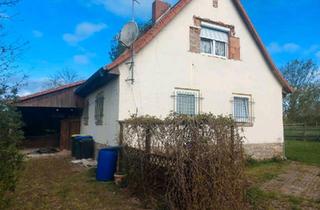 Einfamilienhaus kaufen in 39387 Oschersleben, Oschersleben (Bode) - Einfamilienhaus mit großem Grundstück