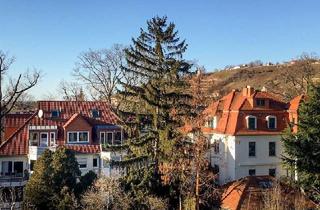 Wohnung kaufen in 01445 Radebeul, Radebeul - Tolle 89qm Maisonette in Radebeul Kötzschenbroda mit Balkon, Stellpl., EBK, zzgl. 36qm Dachstudio!