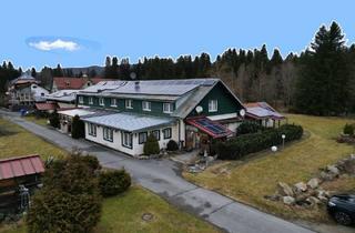 Haus kaufen in 94518 Spiegelau, Spiegelau - Hotel Bayernstern in ruhiger Lage am Nationalpark Bayerischer Wald