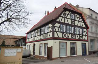 Wohnung kaufen in Hauptstraße 31, 67360 Lingenfeld, Liebhaberimmobilie in gutem Zustand - kein Denkmalschutz