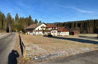 Haus kaufen in 94264 Langdorf, Wohnhaus mit Gästezimmern im Herzen des Bayerischen Waldes