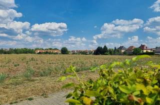 Grundstück zu kaufen in 03149 Forst, Dein neues Zuhause in der Rosenstadt Forst (Lausitz)!
