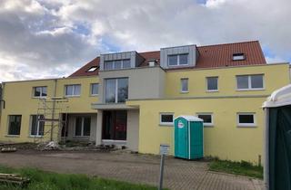 Wohnung mieten in Merkurstraße, 74906 Bad Rappenau, Gemeinschaftsorientiertes Wohnen in einem neuen Mehrparteienhaus in Bad Rappenau - Bonfeld
