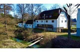 Einfamilienhaus kaufen in 91275 Auerbach, Auerbach in der Oberpfalz - *Provisionsfrei* Großes Einfamilienhaus mit vorgeplanter Einliegerwohnung direkt an der Pegnitz