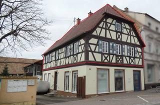 Wohnung kaufen in 67360 Lingenfeld, Lingenfeld - Liebhaberimmobilie in gutem Zustand - kein Denkmalschutz