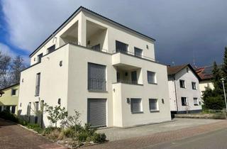 Wohnung mieten in Richard Wagner Str., 76669 Bad Schönborn, Gehobene 4-ZKB-Wohnung, Fertigestelt. 11/2017, 1. OG (3-Einheiten) Bad Schönborn