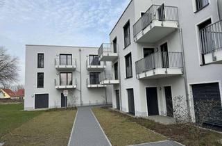 Wohnung mieten in 17491 Groß Schönwalde, Altersgerecht Wohnen: Barrierefreie 2-Zimmer-Wohnung mit Einbauküche und Balkon im Erstbezug