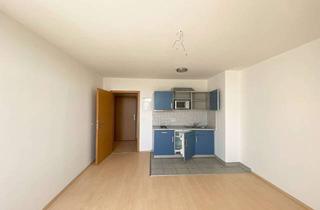 Wohnung mieten in Bernburger Straße 17, 06108 Giebichenstein, Modernes 1-Zimmer-Apartment in beliebter Wohnlage