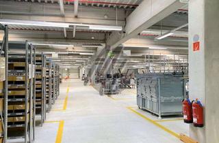 Büro zu mieten in 64521 Groß-Gerau, SCHNELL VERFÜGBAR ✓ Lager-/Produktion (1.900 m²) & Büro (900 m²)