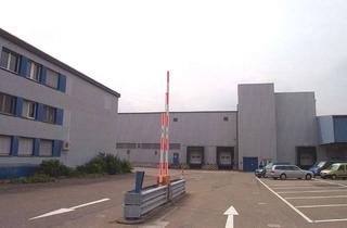 Büro zu mieten in 67063 Friesenheim, Lagerhalle 2700 m² mit 2 Toren und Büro 200 m² in Ludwigshafen zu vermieten