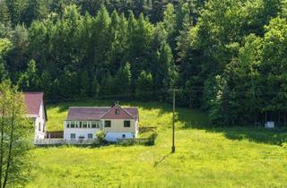 Einfamilienhaus kaufen in 07381 Langenorla, Wohnen in (fast) Alleinlage mit 1 Hektar Wald & Wiese - Naturnahes Einfamilienhaus zur Sanierung