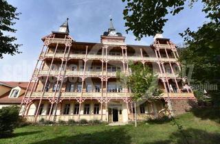 Wohnung kaufen in 01445 Radebeul, *400 m² eigener Garten - Luxus-Schloss mit Fernblick inmitten der Weinberge von Oberlößnitz* Altbau