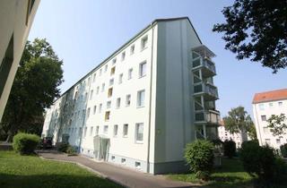 Wohnung mieten in Erich-Weinert-Straße, 04808 Wurzen, Lebens- und liebeswerte altersgerechte Wohnung mit gemütlicher Wohnküche.