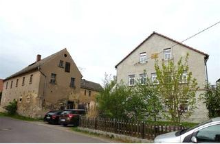 Haus kaufen in 04552 Borna, Dreiseitenhof mit viel Potenzial - 2 ETWs mit je 110 m² bereits saniert! Pellet-Heizung von 2015!
