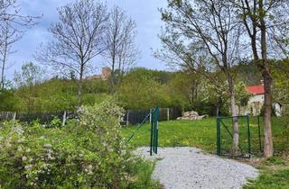 Grundstück zu kaufen in 07751 Drackendorf, Freizeitgrundstück mit einmaligem Burgen-Blick