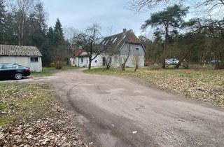 Haus kaufen in 21365 Adendorf, Adendorf - Vielseitiges Zweifamilienhaus im Grünen