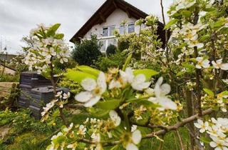 Haus kaufen in 53567 Asbach, Zweifamilienhaus mit herrlichem Ausblick ins Grüne