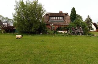 Haus kaufen in 25348 Blomesche Wildnis, Blomesche Wildnis - Reetdachhaus mit Blick auf die Elbe und Deichzugang