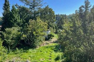 Einfamilienhaus kaufen in 67098 Bad Dürkheim, Einfamilienhaus in Bad Dürkheim/Seebach (Südlage)