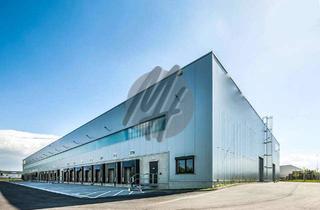 Büro zu mieten in 63179 Obertshausen, NEUBAU / ERSTBEZUG ✓ AB Q4-2024 ✓ Lager-/Logistik (11.000 m²) & Büro (700 m²)