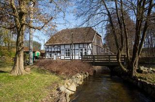Haus kaufen in 19065 Godern, „Die Goderner Wassermühle“ - ein Denkmal der mecklenburgischen Geschichte