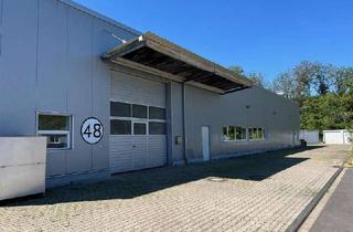 Gewerbeimmobilie kaufen in 51688 Wipperfürth, Moderne Produktionshalle mit eigener PV Anlage im Industriegebiet