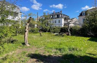 Grundstück zu kaufen in 01259 Großzschachwitz, TOP gelegenes Baugrundstück für eine Doppelhaushälfte oder ein Einfamilienhaus in Zschachwitz