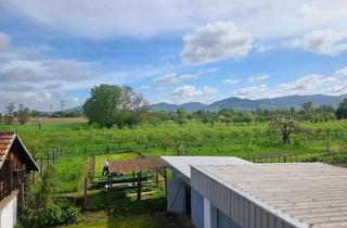 Grundstück zu kaufen in 77815 Bühl, Bauplatz mit vielen Möglichkeiten