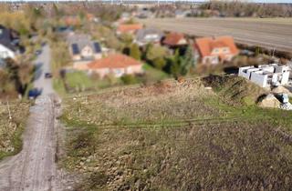 Grundstück zu kaufen in 29565 Wriedel, Bau or never: Familienfreundliches Grundstück in grüner Lage von Wriedel