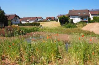 Grundstück zu kaufen in 66894 Bechhofen, ATTRAKTIVES GRUNDSTÜCK IN BECHHOFEN WARTET AUF IHR HAUS
