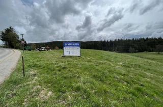 Gewerbeimmobilie kaufen in 79868 Feldberg (Schwarzwald), Im Alleinauftrag: Gewerbegrundstück, ca. 9.200 qm, in Feldberg-Falkau zu verkaufen
