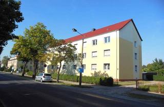 Wohnung mieten in Falkenberger Straße 23, 04916 Herzberg/Elster, Frisch renoviert für Sie !