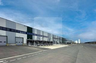 Gewerbeimmobilie mieten in 23738 Lensahn, SAVILLS | Moderner Logistik-Neubau in Top-Qualität